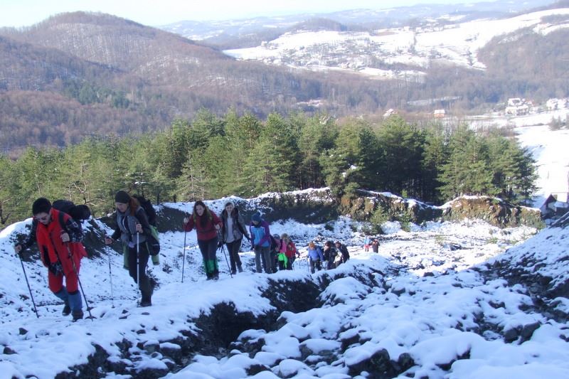 plninarenje-ljubic-4