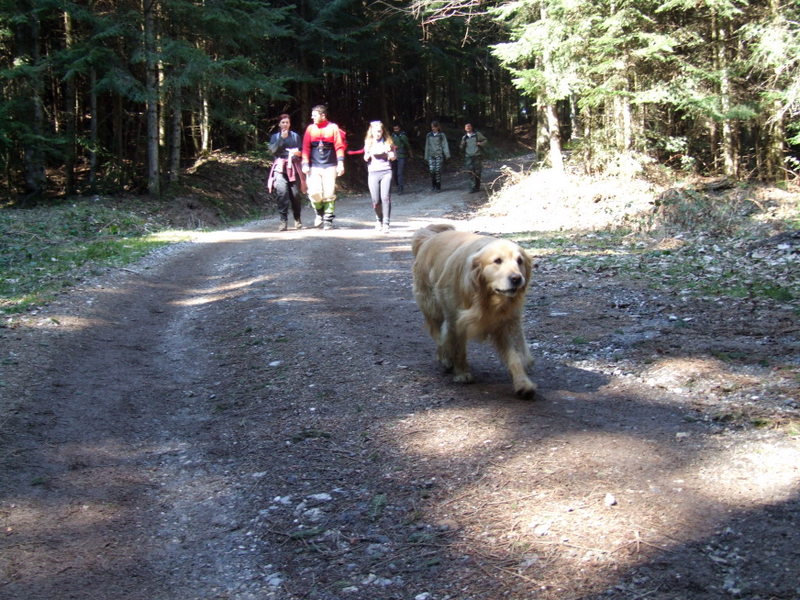 kozara-korak-vise-prnjavor (27)