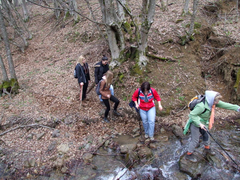 liplje-korak-vise (10)