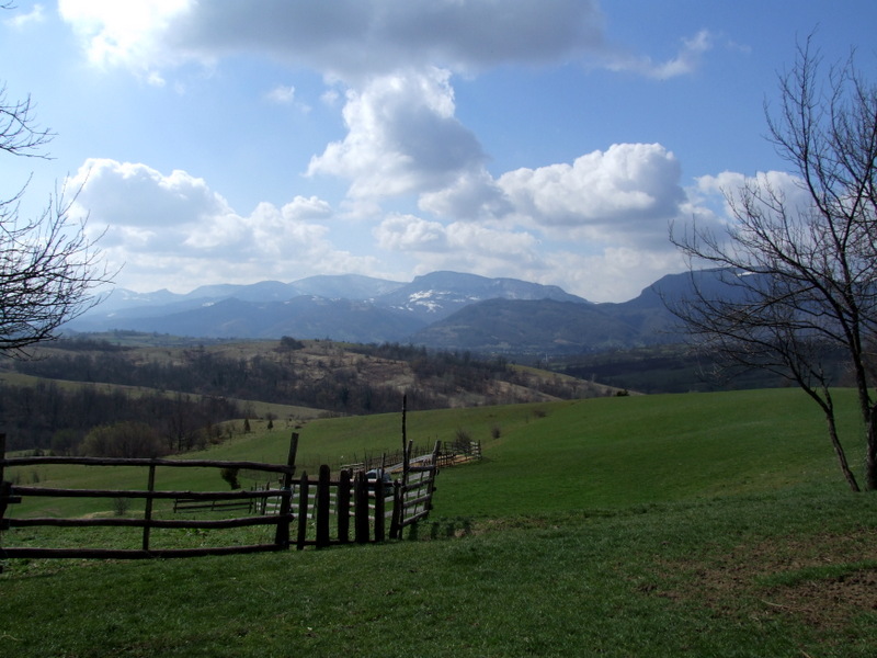 liplje-korak-vise (5)