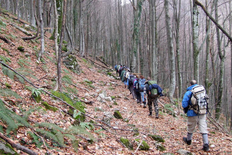 pd-korak-vise-kotor-varos (17)