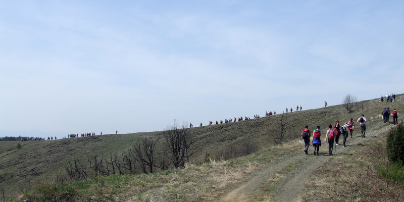 pohod-na-ljubic-korak-vise-2016 (21)