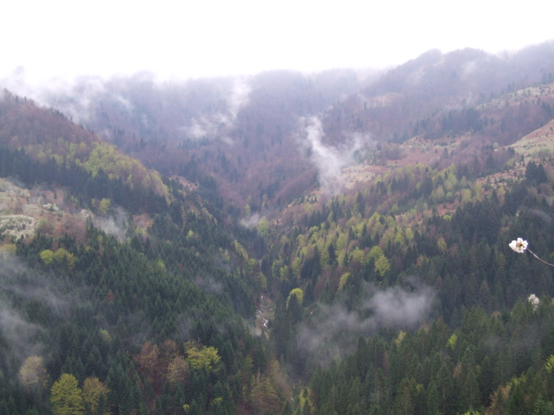 vucija-planina-korak-vise (1)