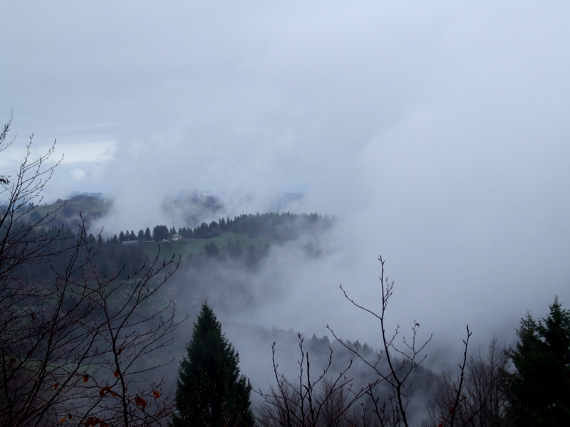 vucija-planina-korak-vise (11)