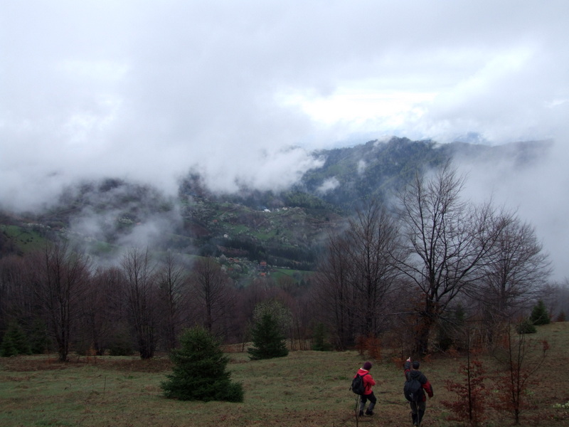 vucija-planina-korak-vise (14)