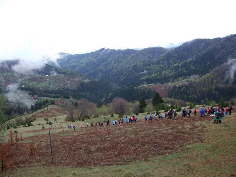 vucija-planina-korak-vise (16)