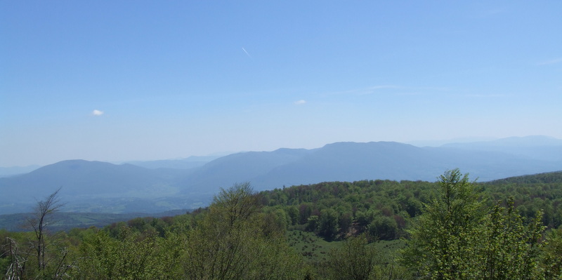manjaca-korak-vise (4)