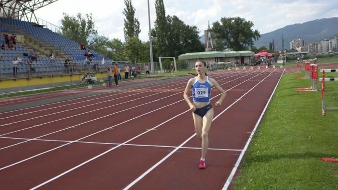 jelena-gajic (2)