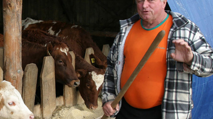 Vladimir-Usorac