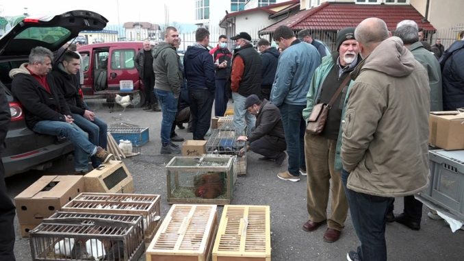 Прњавор - сајам ситних и украсних ж