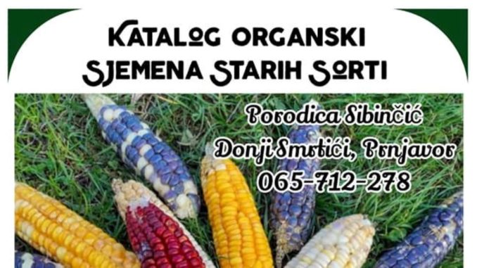 stara sjemena sibincic
