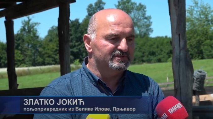 zlatko-jokic