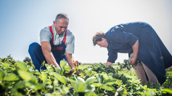Poljoprivreda LID projekat / Agriculture LID Project Project