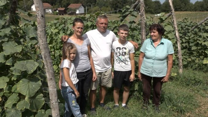 kovacevici kornisoni velika ilova