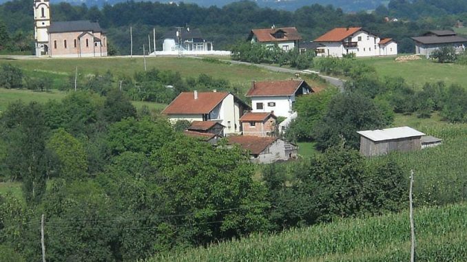IMG_8756